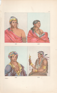 George Catlin Plates 211 to 214